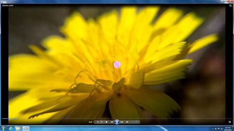 Follow the steps to open mdf file effortlessly launch the mdf recovery software. How to Open .MP4 files (Windows 7, Windows Media Player, K ...