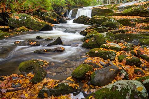 3 Cades Cove Waterfalls You Have To See To Believe