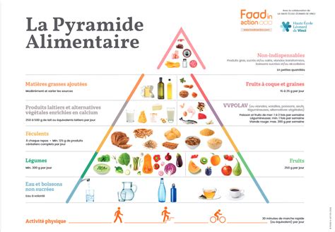 Les Différents Types De Régimes Alimentaires Quels Sont Ils Cheef