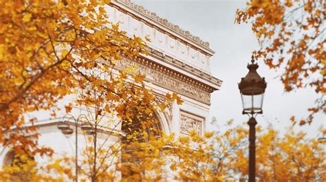 8 Great Reasons To Visit Paris This Autumn