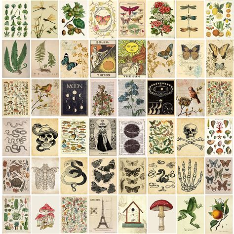 Buy Vintage Wall Collage Kit Aesthetic Pictures Cottagecore Botanical Wall S For Room Nature