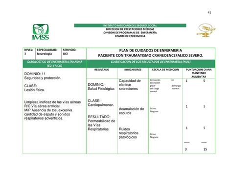Plan De Cuidados De Enfermer A Paciente Con Traumatismo