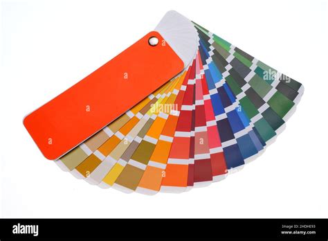 Color Guide Color Choice Colour Chart Color Guides Color Choices