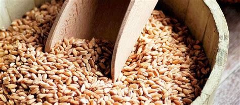 What Is Farro Nutrition Facts How To Cook Farrowheat