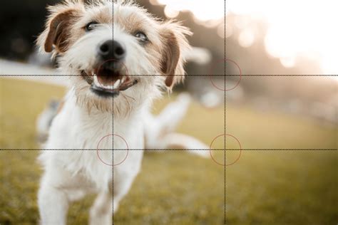The Rule Of Thirds In Photography Mandel Marketing