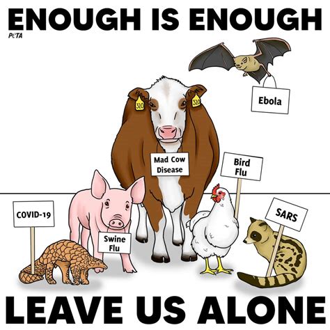 Enough Is Enough: Current Events Lesson—Understanding COVID-19 and Preventing Future Zoonotic ...