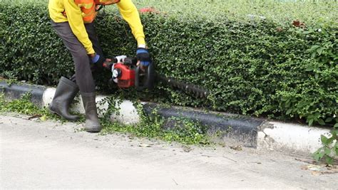 A Man Trimming Hedge With Trimmer Machine Stock Footage