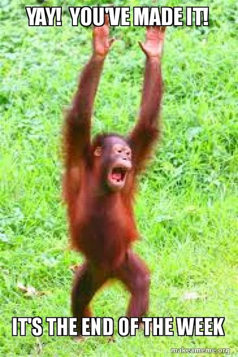 Yay Youve Made It Its The End Of The Week And Its Only Wednesday