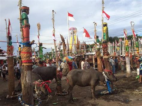 Ritual Tiwah Ritual Menuju Surga Suku Dayak Ngaju Laman Dari Dimensi Indonesia