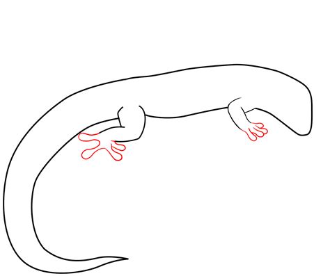 How To Draw A Gecko Draw Central