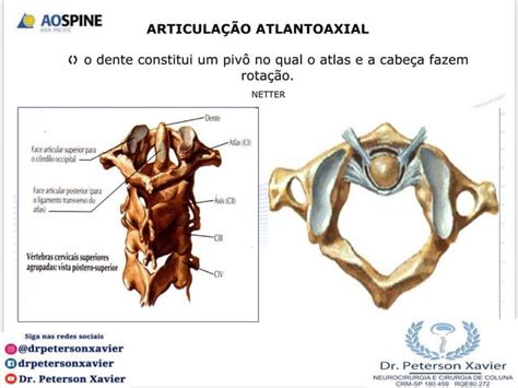 Anatomia Aplicada Da Coluna Cervical