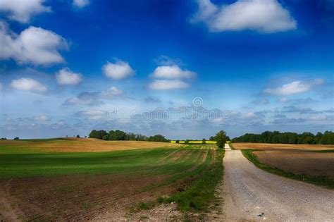 Gravel Country Road Through Farm Fields And Meadow Stock Image Image