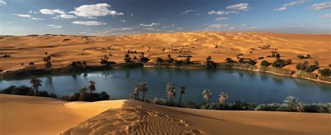 Egypt Western Desert Egypt Oasis