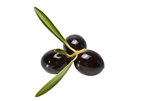 Black Olives With Leaves Green Fresh Raw Extra Png Transparent Image