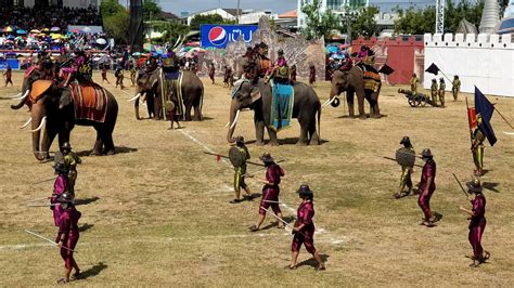 Elephant War Battle With War Elephants Surin Elephant Festival