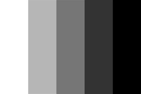 White To Black Color Palette Black Color Palette Movie Color Palette
