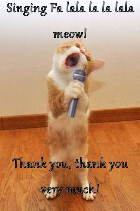 Thank You Thank You Very Much Lolcats Lol Cat Memes Funny
