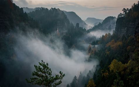 Philipp Zieger Mountains Nature Forest Mist