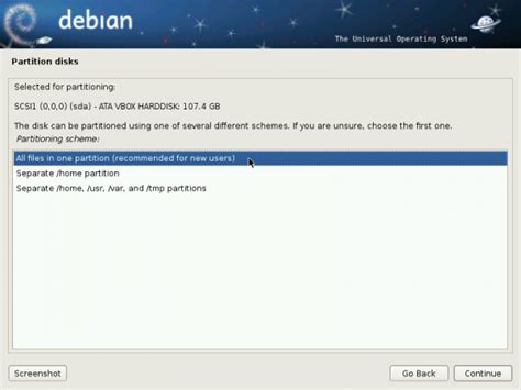 Debian 6 Installation And Disk Partitioning Guide