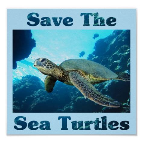 Save The Sea Turtles Poster Zazzle