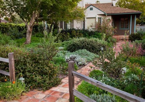Front Garden Native Plant Design Landscape Designs For Your Home