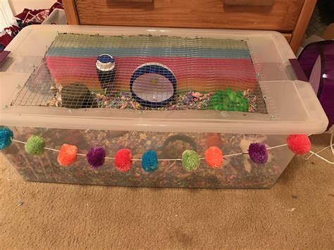 We did not find results for: Bin Cages 101 | Hamster diy cage, Hamster bin cage, Hamster diy