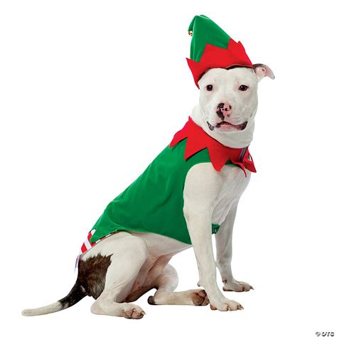 Elf Dog Costume Oriental Trading