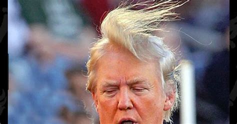 Check spelling or type a new query. Trump should be a better boss - Liberty Unyielding