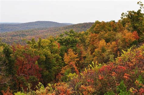 Stunning Fall Colors In The Ozarks Of Arkansas Go To