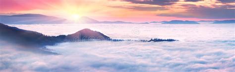 Misty Sea Carpathians Stock Image Image Of Forest Natural 78696109