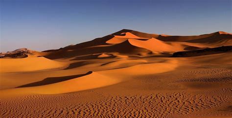 Mundo Animal Desierto Del Sahara