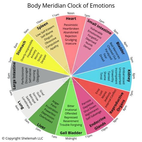 What Your Body Clock Is Trying To Tell You Body Clock Emotion Chart