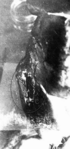 Kennedy on november 22, 1963. Jfk GIF - Find on GIFER