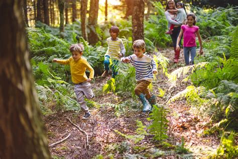 Living Near Woodlands Is Good For Young Peoples Mental Health Ukri