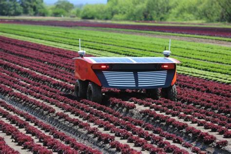 Farmbots Precision Farming With Agricultural Robots Could Boost Crop