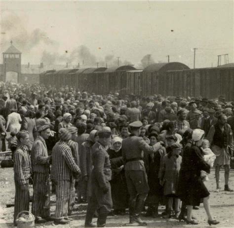 Holocaust Gedenktag Die Mörderischen Zahlen Von Auschwitz Welt