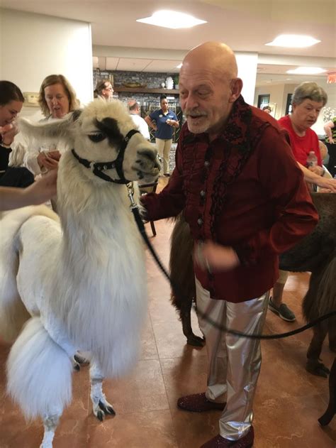 Pin By Tim Cameresi On Parking Animals Park Llama