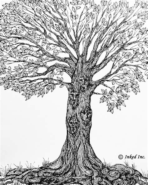 Pen And Ink Tree Drawing At Getdrawings Free Download