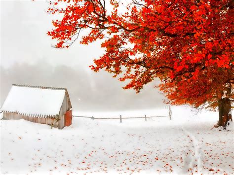 Autumn and winter wallpaper | AllWallpaper.in #7262 | PC | en
