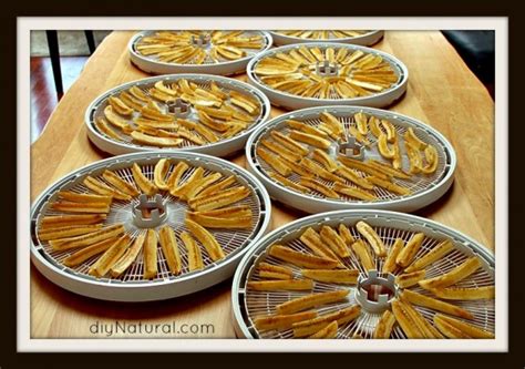 However, you can likely get a few more years out of that in many cases. Dehydrating Food Benefits and Tips