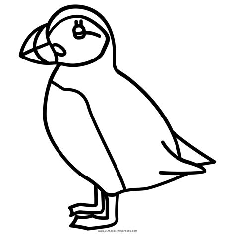 Puffin Coloring Page Ultra Coloring Pages