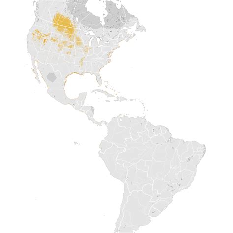 Willet Abundance Map Pre Breeding Migration Ebird Status And Trends