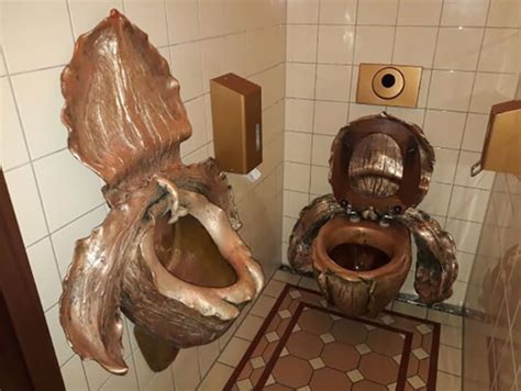 Embargo La Personne N Cessit S Weird Pictures Of Toilets Pense Tuba Formulation