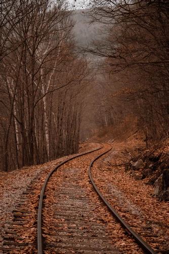 Landscape Photography Of Train Rails Between Forest In 2020 Iphone