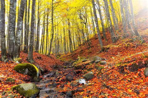 20 Gorgeous Must See National Parks In Turkey Daily Sabah