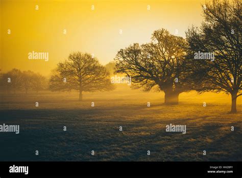 Fog Basking High Resolution Stock Photography And Images Alamy