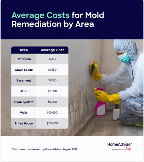 Diy And Professional Mold Remediation Costs