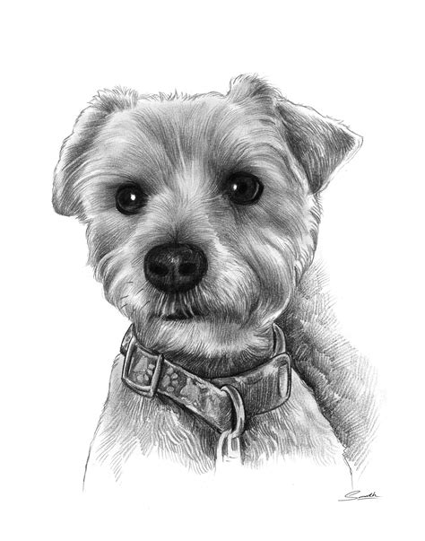 Easy animals to draw, easy drawings. GiveAmasterpiece.com Product Reviews | Pet portraits, Cute animals, Pets