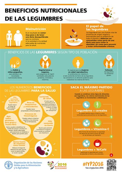 Infograf A Sobre Los Beneficios Nutricionales De Las Legumbres