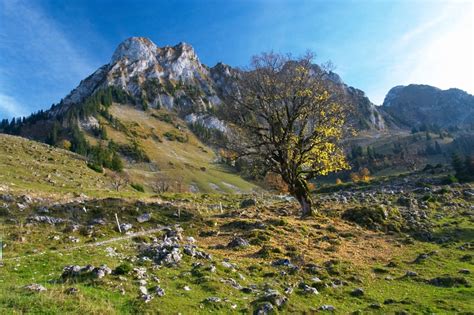 On this page you will be able to find start of some french surnames crossword clue answer last seen on new york times on april 30, 2021. What's in a name - most common Swiss surnames and their ...
